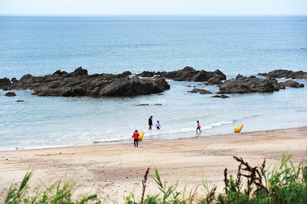 파도리해변 바다 전망 카페 커피 인터뷰